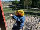 Nils