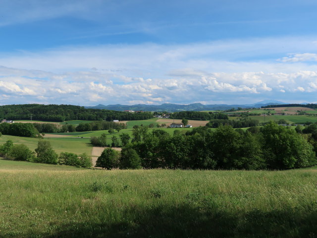 von Sandberg Richtung S&uuml;den (8. Mai)