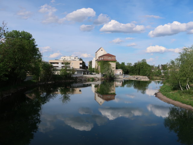 Erlauf in Wieselburg (8. Mai)