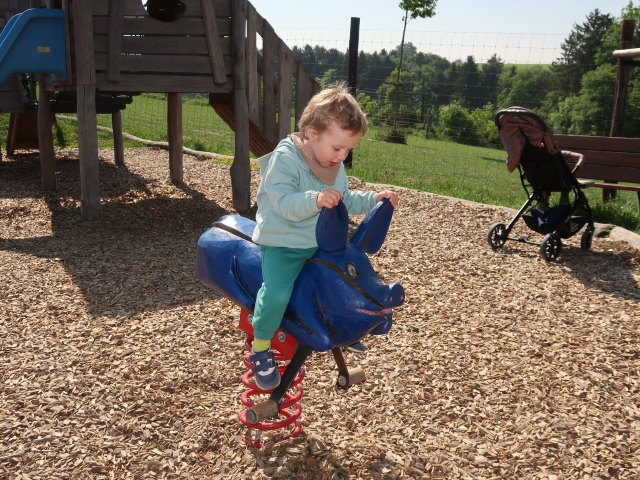 Nils im Wildpark Hochrie&szlig; (9. Mai)