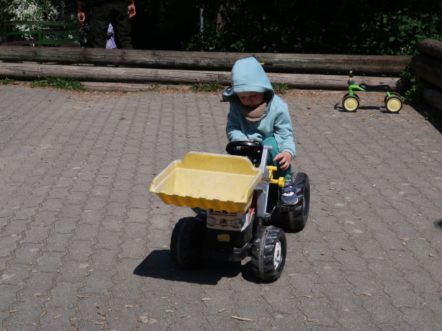 Nils im Wildpark Hochrie&szlig; (9. Mai)
