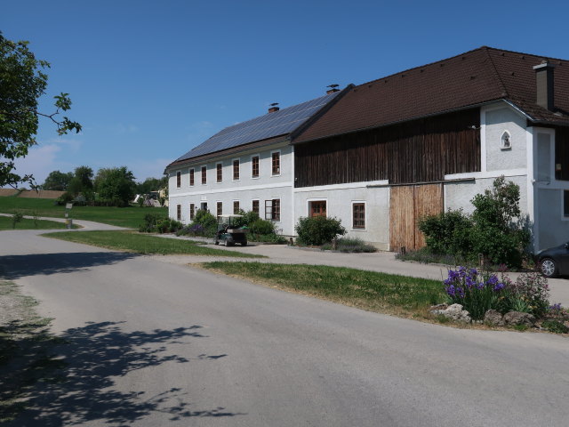 zwischen M&uuml;hling und Schauboden (9. Mai)