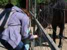 Sabine und Nils im Wildpark Hochrie&szlig; (9. Mai)