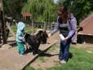 Nils und Sabine im Wildpark Hochrie&szlig; (9. Mai)