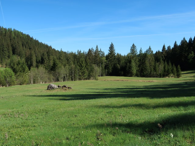 Leckermoor