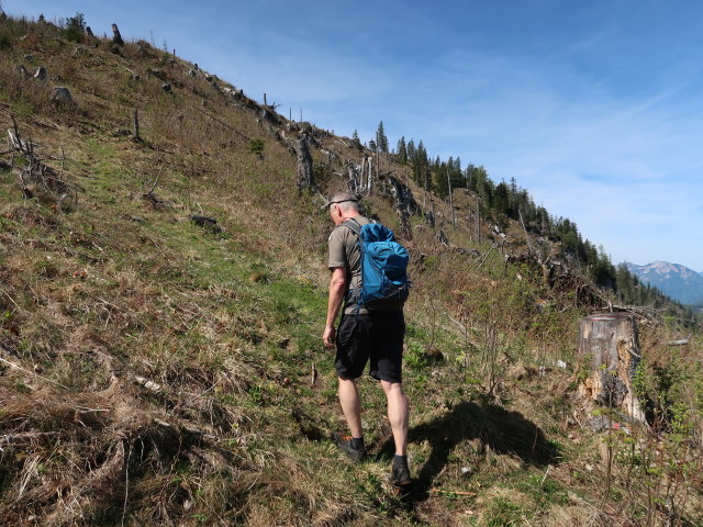 Frank zwischen Leckermoor und Wiesenalm