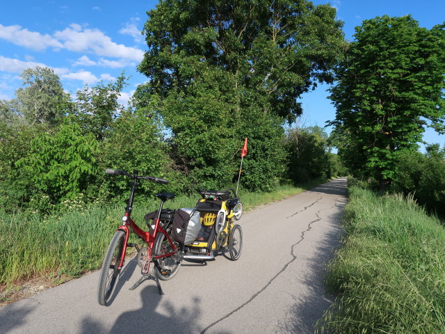 zwischen Schwechat und Alberner Hafen