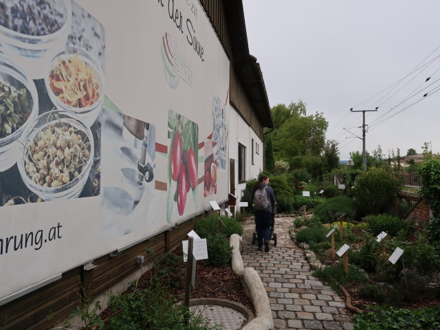 Sabine im Kr&auml;utergarten