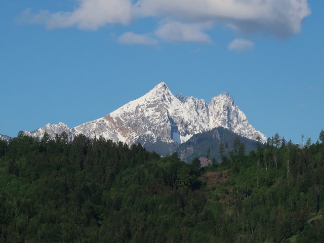 Koschuta