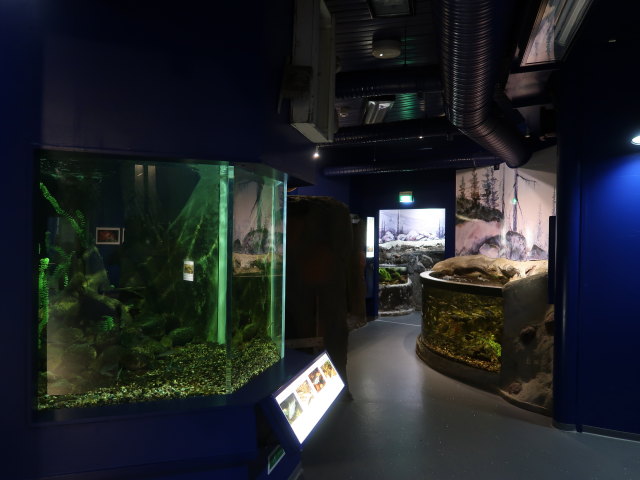 Maretarium in Kotka (22. Mai)