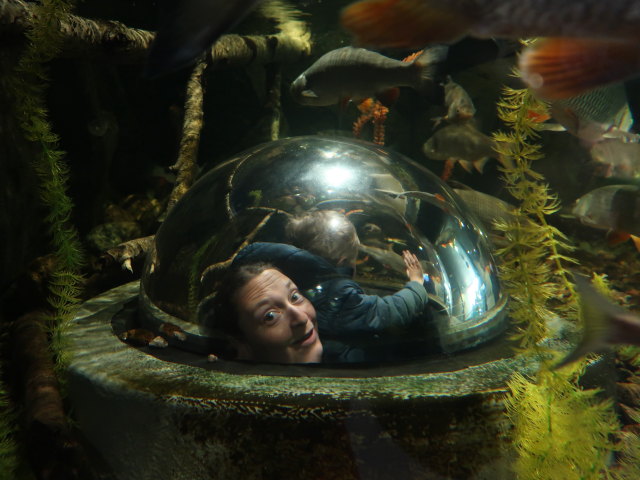 Sabine und Nils im Maretarium in Kotka (22. Mai)