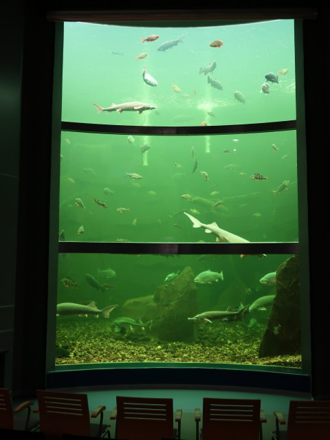 Maretarium in Kotka (22. Mai)