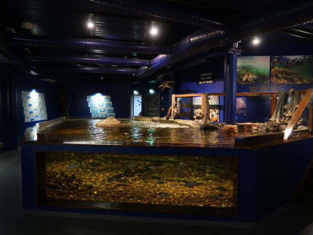 Maretarium in Kotka (22. Mai)