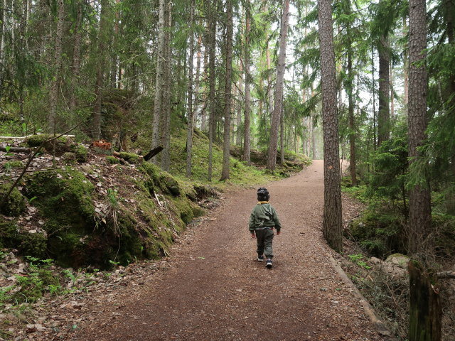 Nils am Ketunlenkki im Repoveden Kansallispuisto (24. Mai)