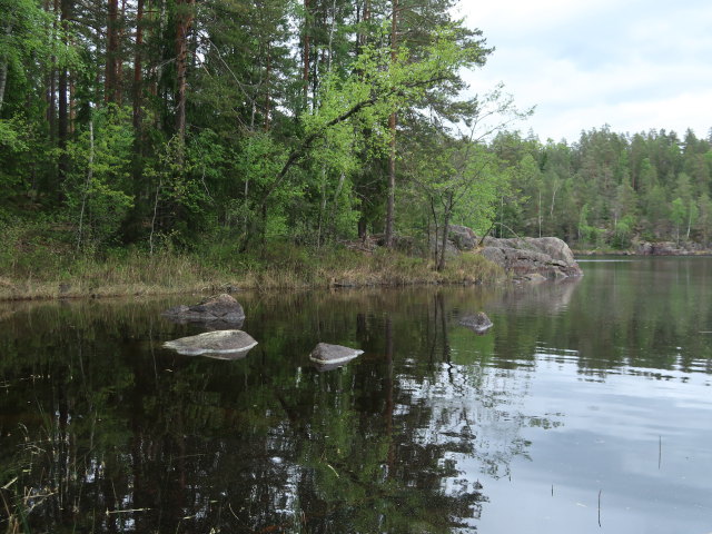 Kapiavesi im Repoveden Kansallispuisto (24. Mai)
