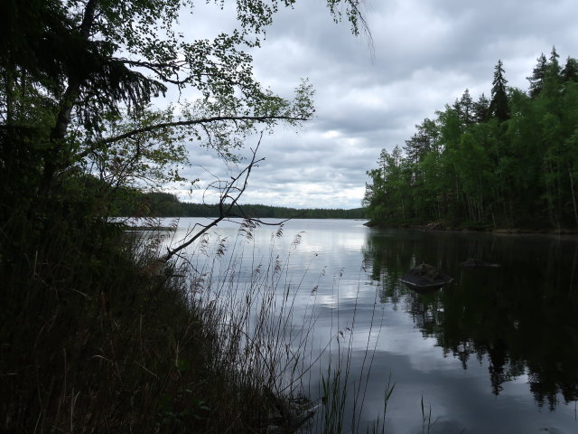 Kapiavesi im Repoveden Kansallispuisto (24. Mai)