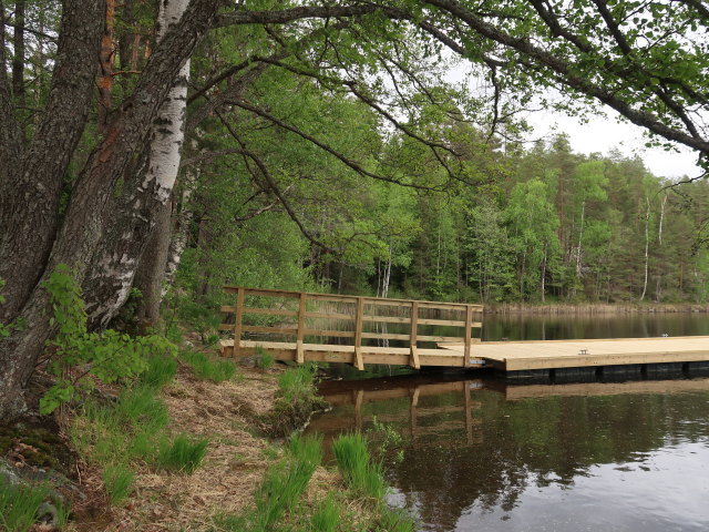 Lapinsalmi im Repoveden Kansallispuisto (24. Mai)