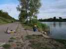 Nils an der Neuen Donau zwischen Praterbr&uuml;cke und Ostbahnbr&uuml;cke (18. Mai)