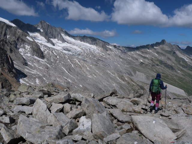 Ursa zwischen Rosskopf und Unterem Gerlossee (12. Juli)