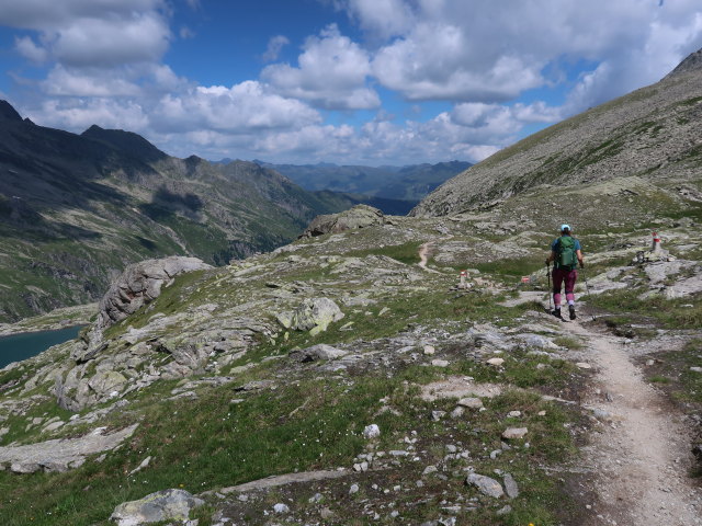 Ursa zwischen Rosskopf und Unterem Gerlossee (12. Juli)