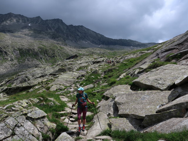 Ursa zwischen Zittauer H&uuml;tte und Im Grund (12. Juli)