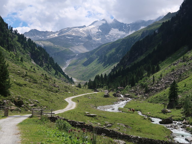 Wildgerlostal zwischen Salzboden und Trisselalm (12. Juli)