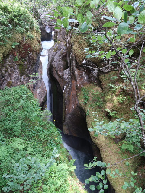 Leitenkammerklamm (12. Juli)