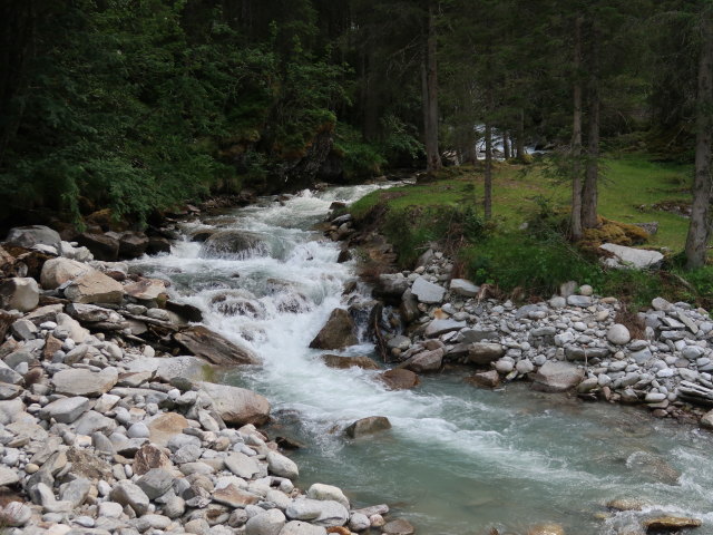 Gerlos zwischen Leitenkammerklamm und Speicher Durlassboden (12. Juli)