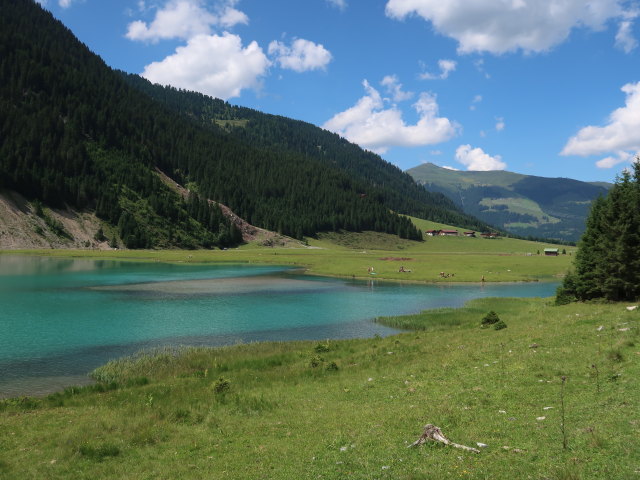 Gerlos zwischen Leitenkammerklamm und Speicher Durlassboden (12. Juli)
