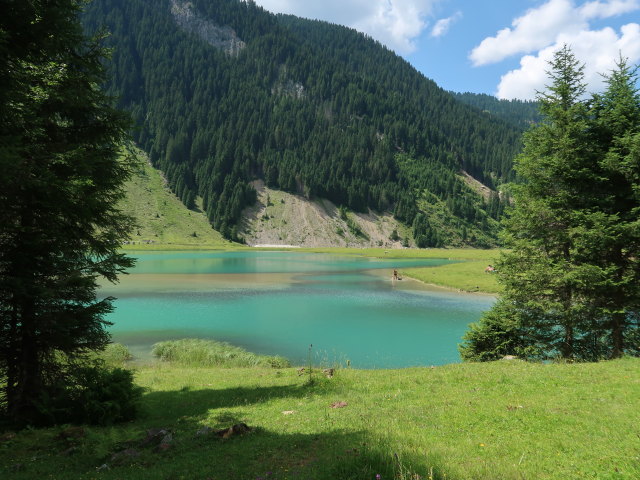Gerlos zwischen Leitenkammerklamm und Speicher Durlassboden (12. Juli)