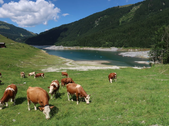 Speicher Durlassboden, 1.405 m (12. Juli)