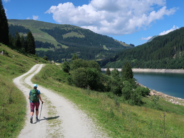 Ursa beim Speicher Durlassboden, 1.405 m (12. Juli)