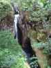 Leitenkammerklamm (12. Juli)