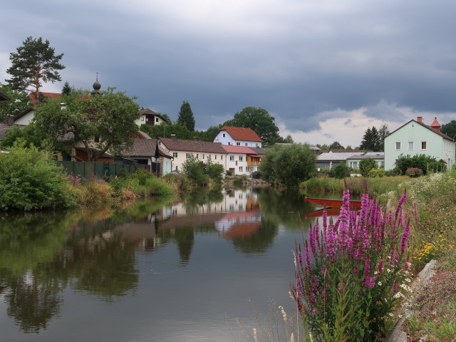 Braunaubach in Niederschrems (18. Juli)
