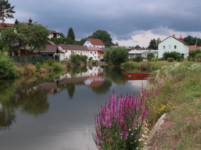 Braunaubach in Niederschrems (18. Juli)