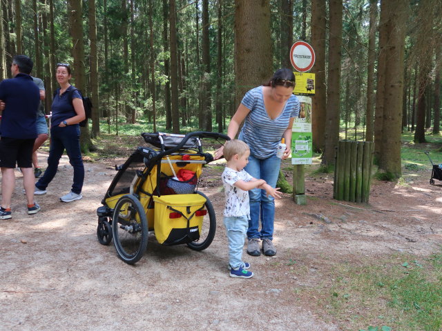 Nils und Sabine im Naturpark Heidenreichsteiner Moor (18. Juli)