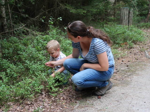 Nils und Sabine im Naturpark Heidenreichsteiner Moor (18. Juli)