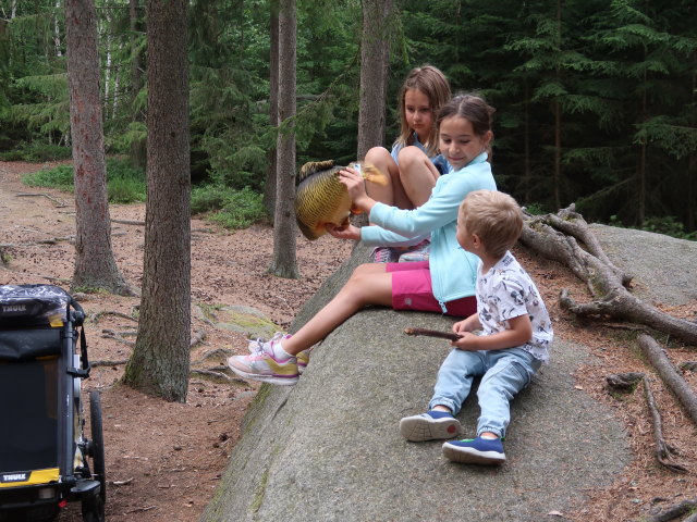 Nils beim H&auml;ngenden Stein im Naturpark Heidenreichsteiner Moor (18. Juli)