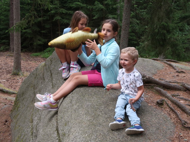 Nils beim H&auml;ngenden Stein im Naturpark Heidenreichsteiner Moor (18. Juli)