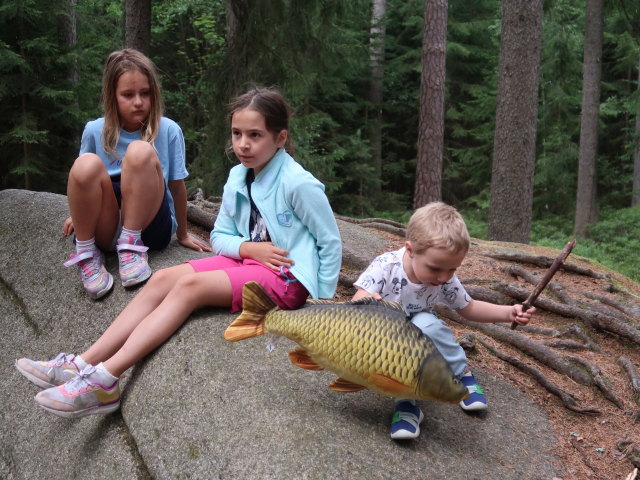 Nils beim H&auml;ngenden Stein im Naturpark Heidenreichsteiner Moor (18. Juli)