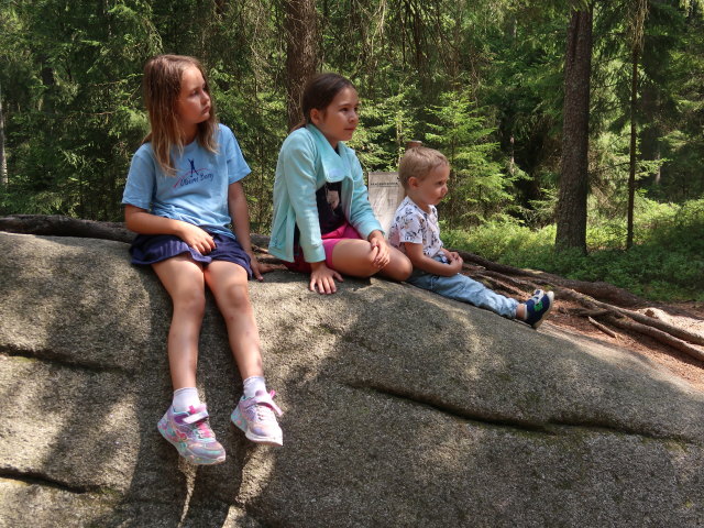 Nils beim H&auml;ngenden Stein im Naturpark Heidenreichsteiner Moor (18. Juli)