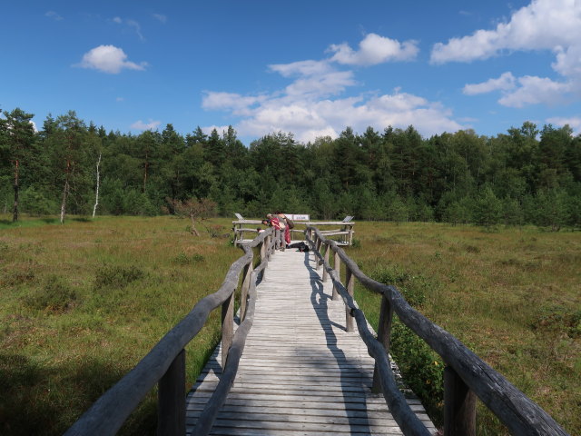 Naturpark Heidenreichsteiner Moor (18. Juli)