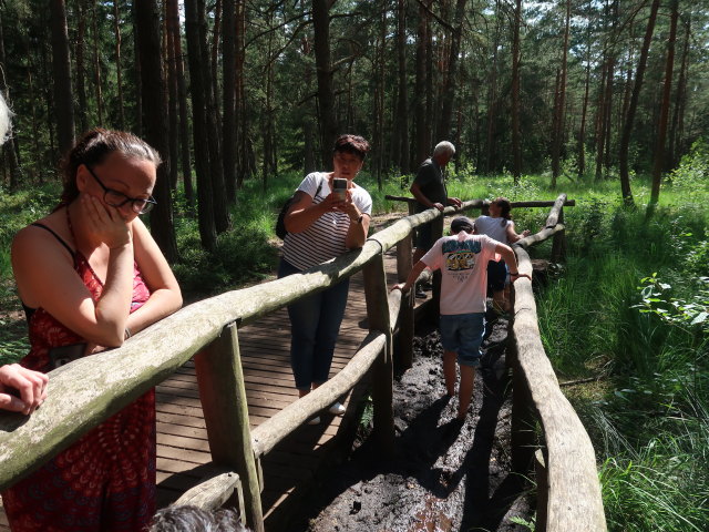 Naturpark Heidenreichsteiner Moor (18. Juli)