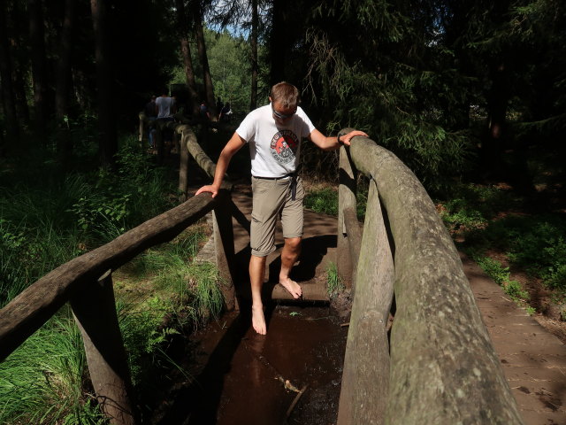Ich im Naturpark Heidenreichsteiner Moor (18. Juli)
