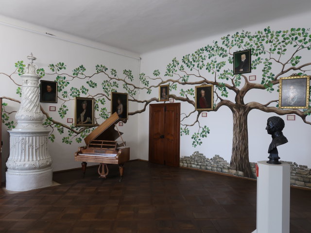 Schlossmuseum im Schloss Weitra, 601 m (19. Juli)
