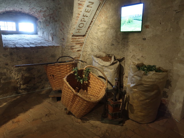 Erlebniswelt Bier im Schloss Weitra, 601 m (19. Juli)