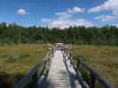 Naturpark Heidenreichsteiner Moor (18. Juli)