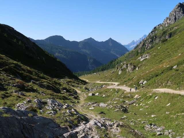 zwischen Ursprungalm und Preuneggsattel (24. Juli)
