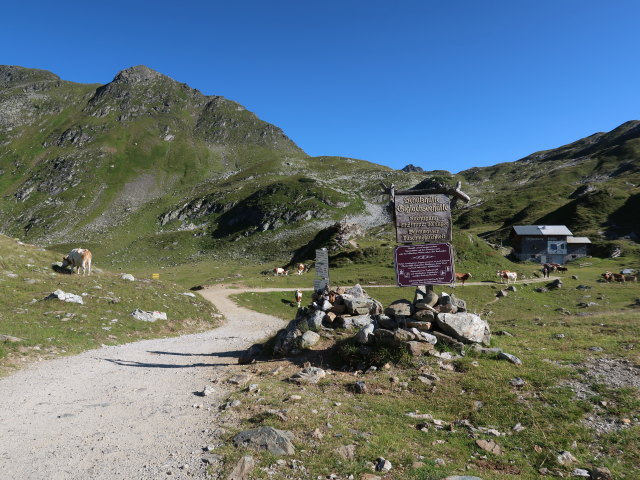 Preuneggsattel (24. Juli)