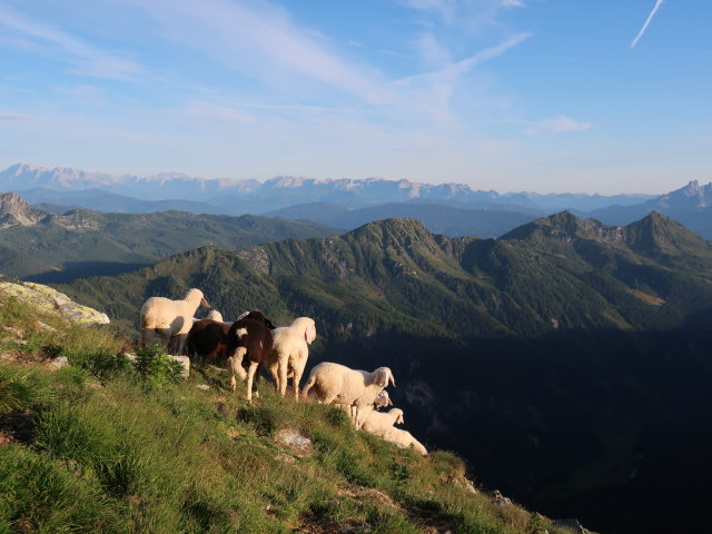 zwischen Brettersee und Kampspitze (25. Juli)